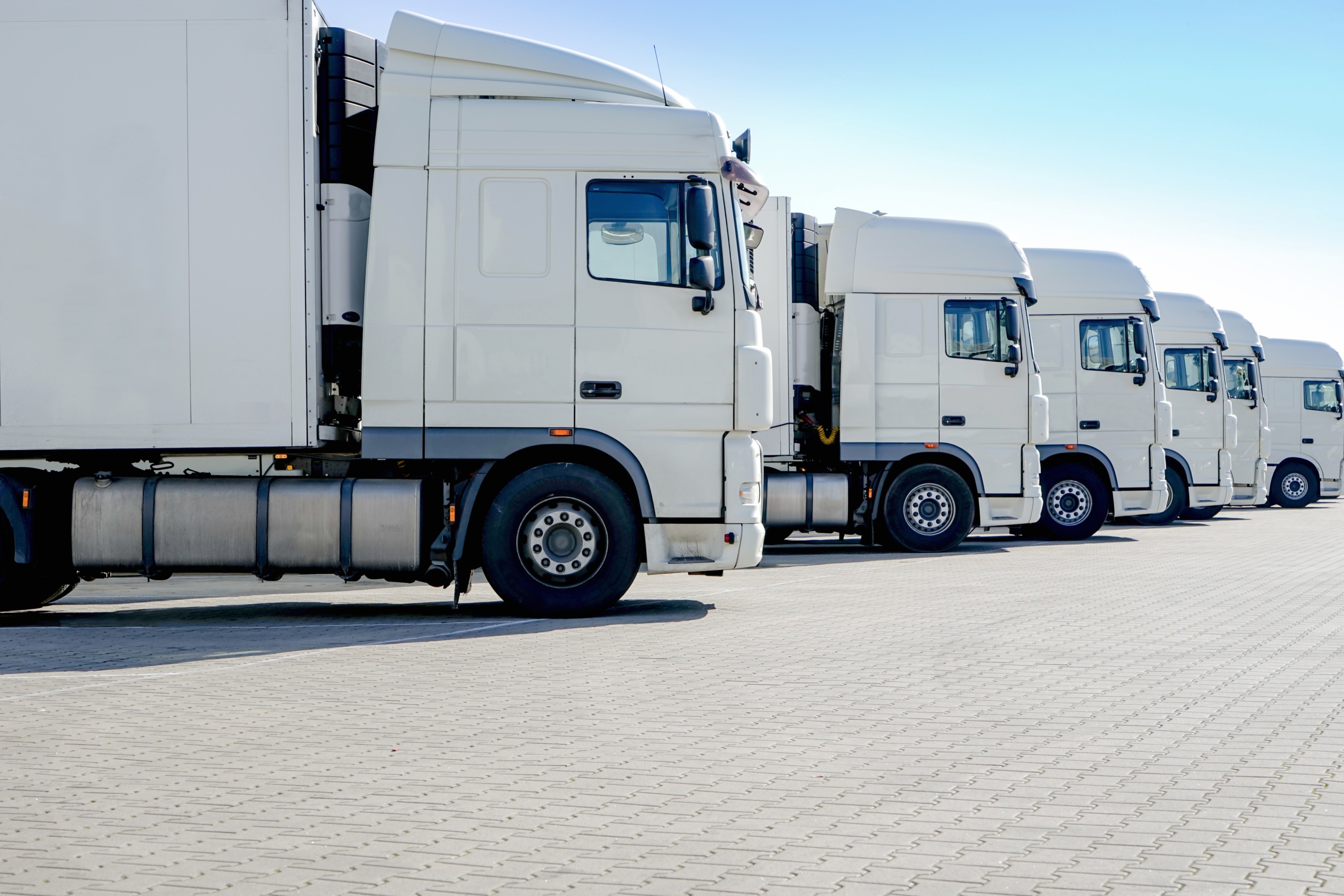 LKW-Spedition, mehrere weiße Laster stehen nebeneinander
